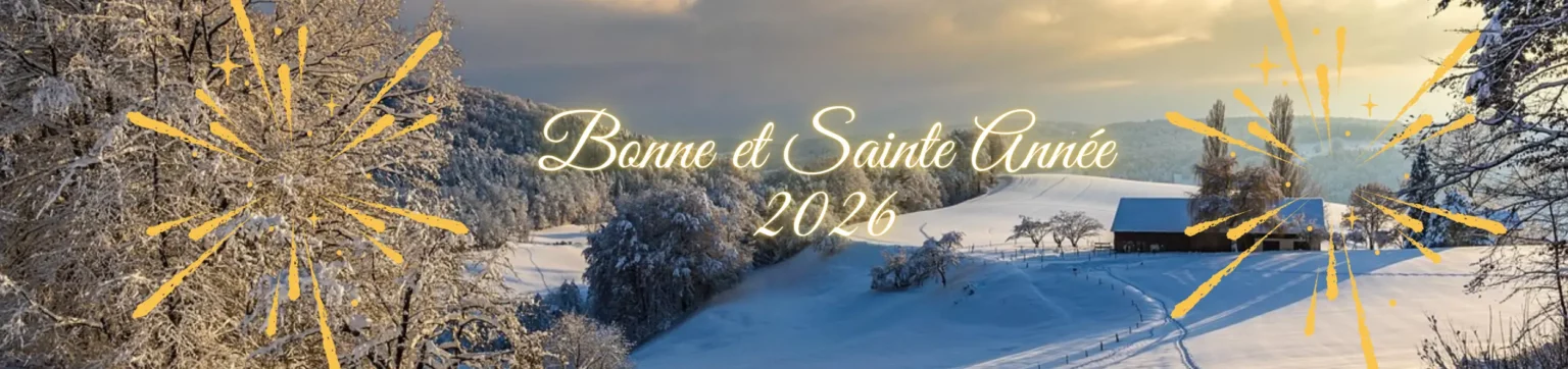 Bonne année 2026 II